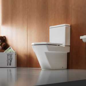 Методи и средства за запазване на външния вид на тоалетната чиния