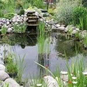 Да направим езерце на лятна резиденция с помощта на естествен камък, осветление, фонтани