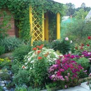 Правила за регистрация на цветна градина: Съвети от дизайнери