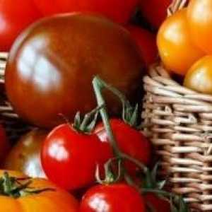 Сортове домати и тяхната схема за кацане