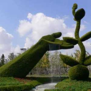 Topiary - зелени шедьоври