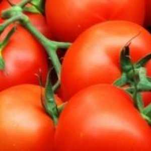 Отглеждане на домати за mitlayderu